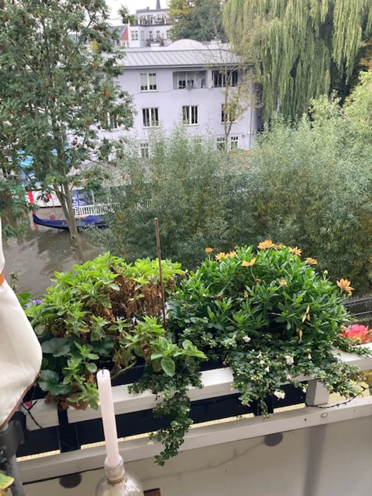 3 Zimmer Wohnung mit 65 m² in Leipzig – Bild 4