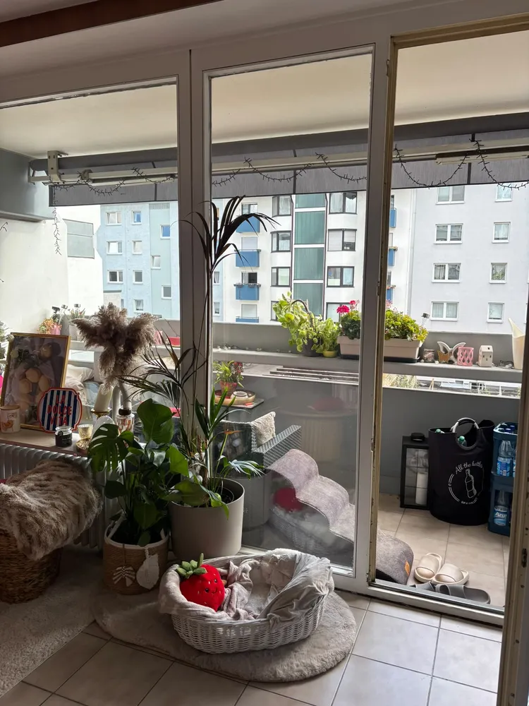 2 Zimmer Wohnung mit 53 m² in Mainz – Bild 10