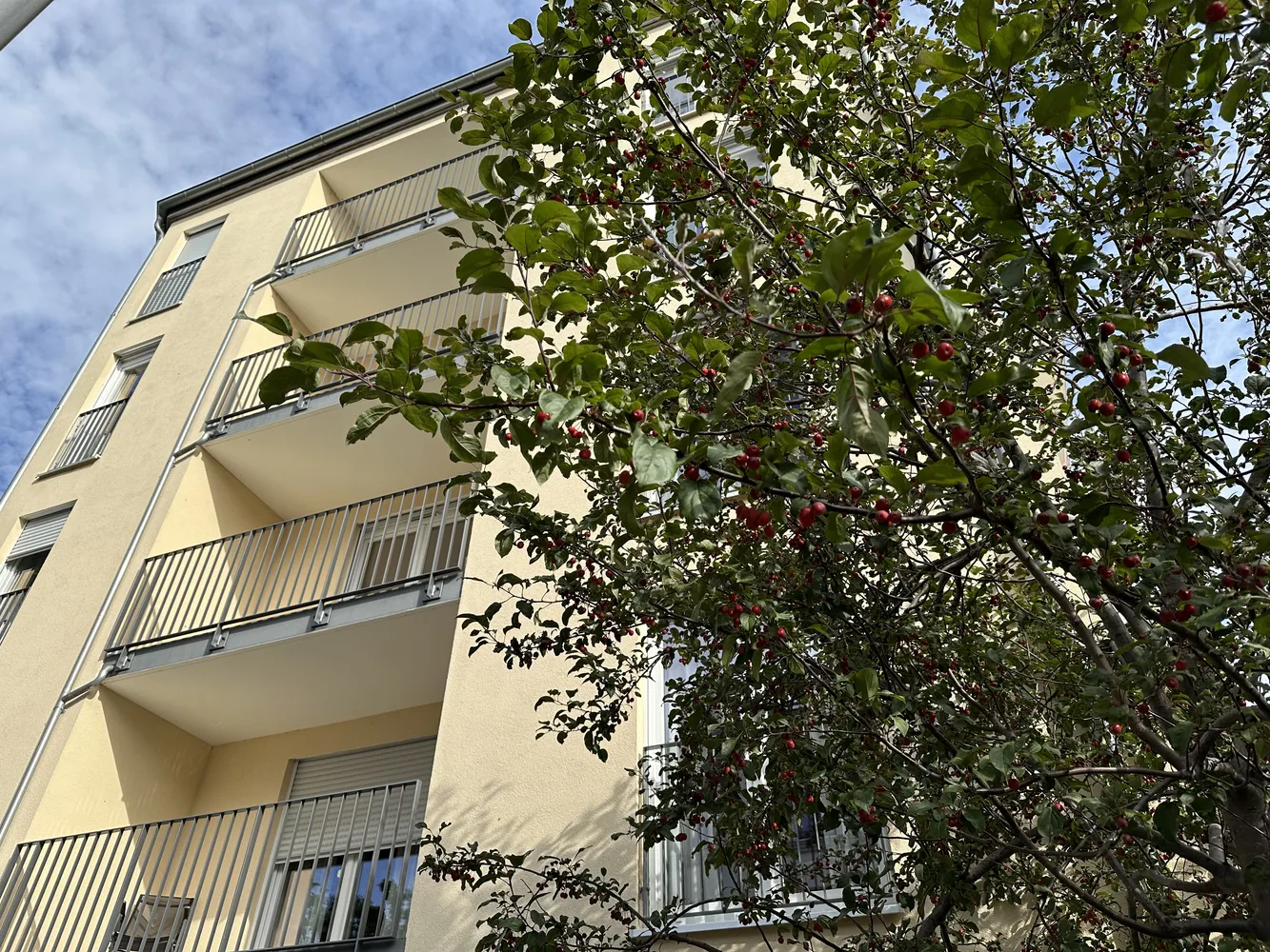 2 Zimmer Wohnung mit 55 m² in Dresden – Bild 4