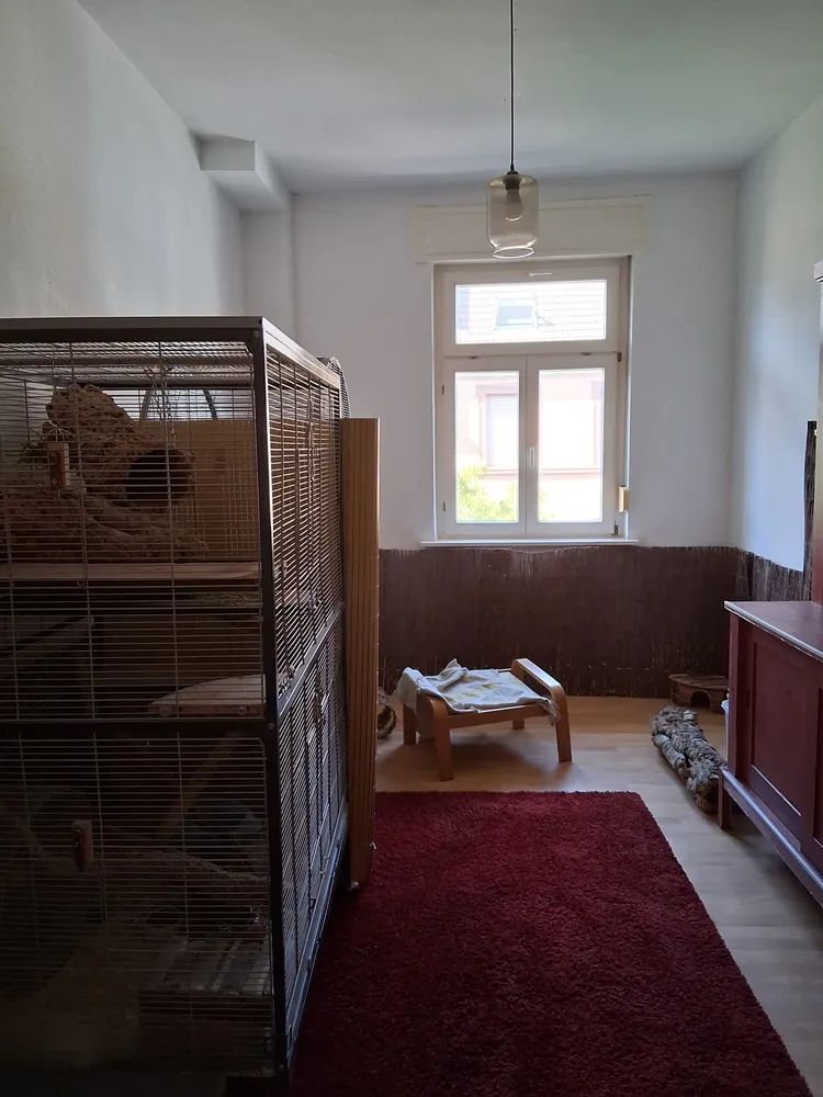 3 Zimmer Wohnung mit 78 m² in Mannheim – Bild 7