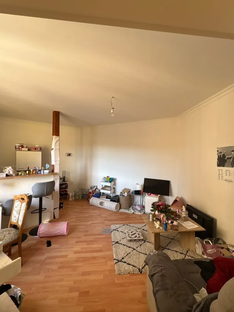 2 room apartment with 48 m² in Kamenz – Photo 1