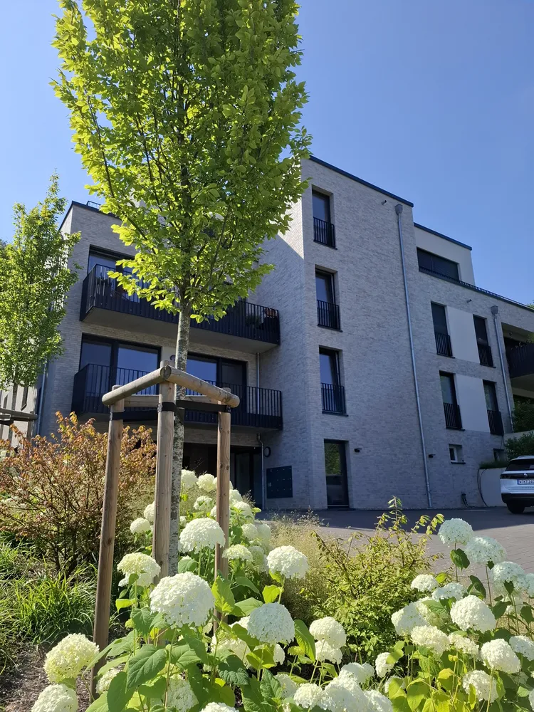 2 Zimmer Wohnung mit 70 m² in Wuppertal – Bild 1