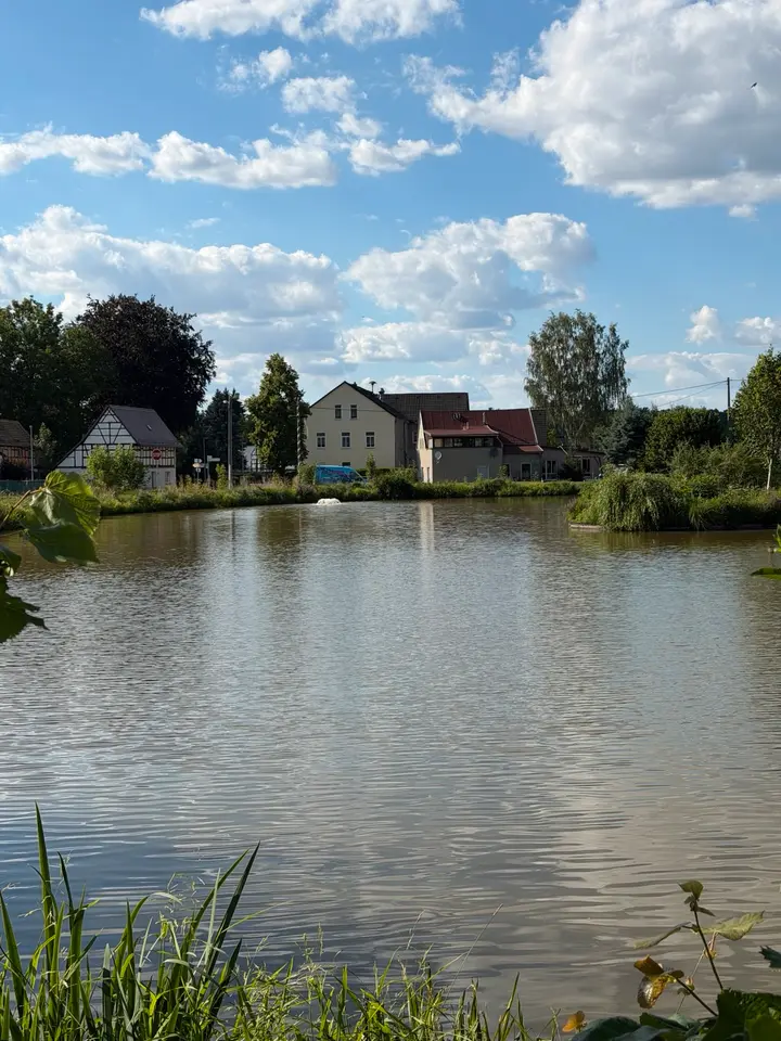 7 Zimmer Haus mit 120 m² in Altenburg – Bild 10