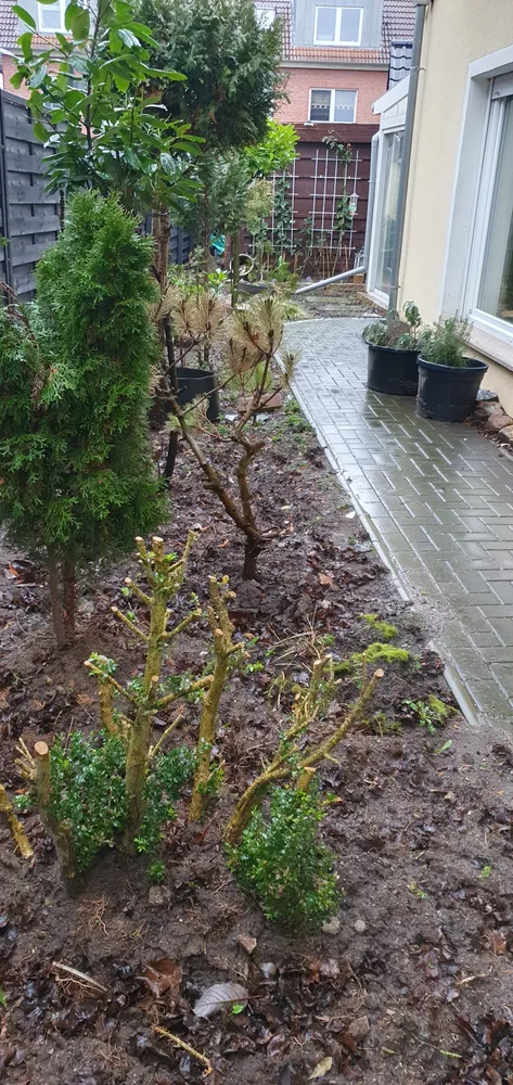 4 Zimmer Wohnung mit 135 m² in Hamburg – Bild 12