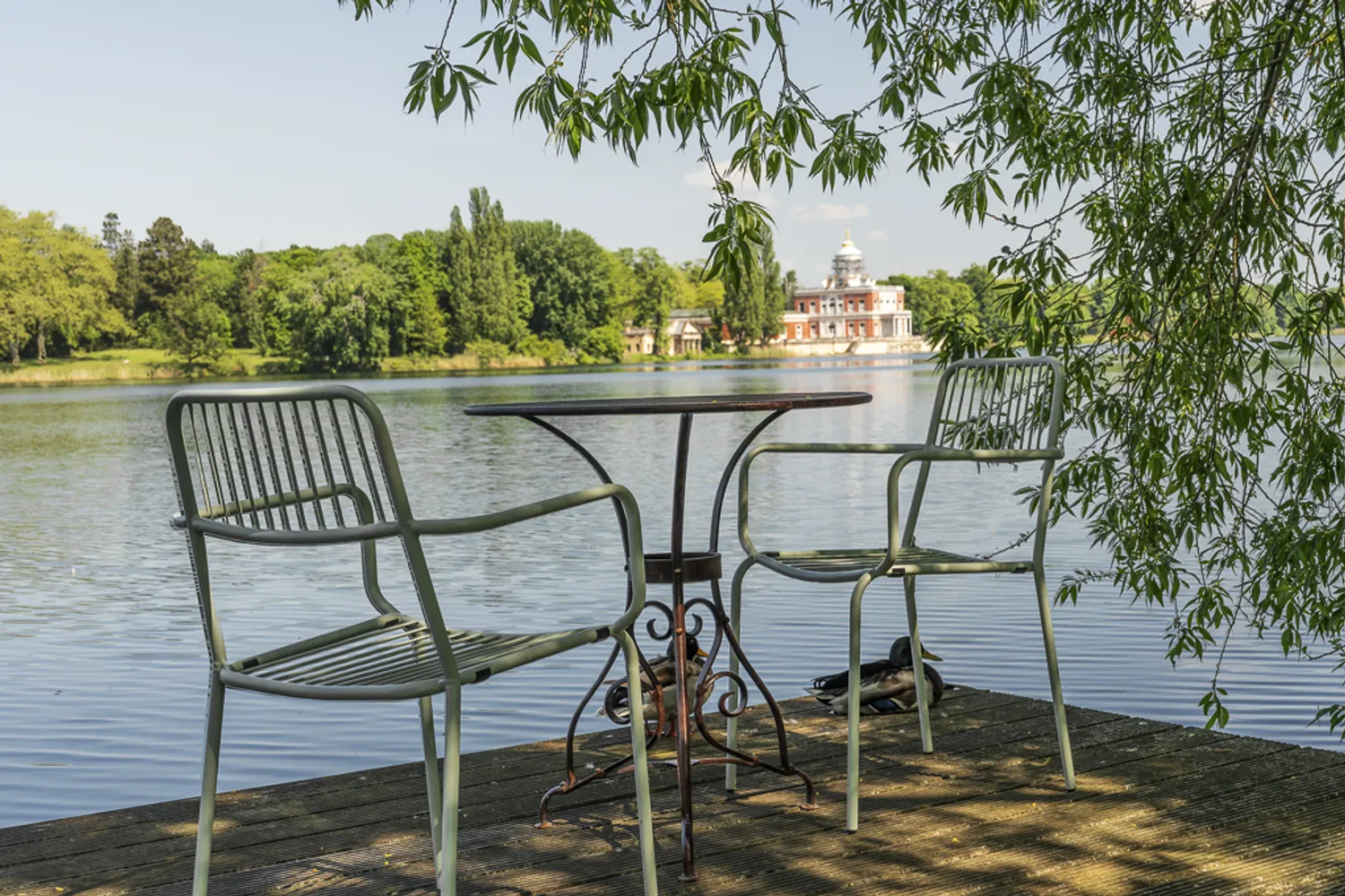 5 Zimmer Wohnung mit 260 m² in Potsdam – Bild 5