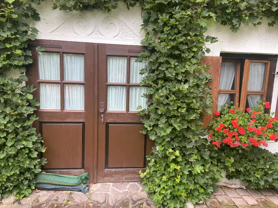 2 room apartment with 30 m² in Kempten – Photo 10