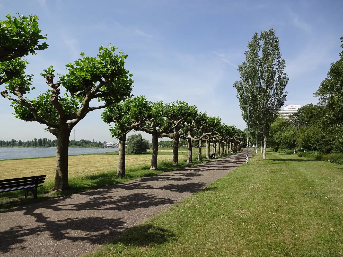1 Zimmer Wohnung mit 51 m² in Düsseldorf – Bild 9