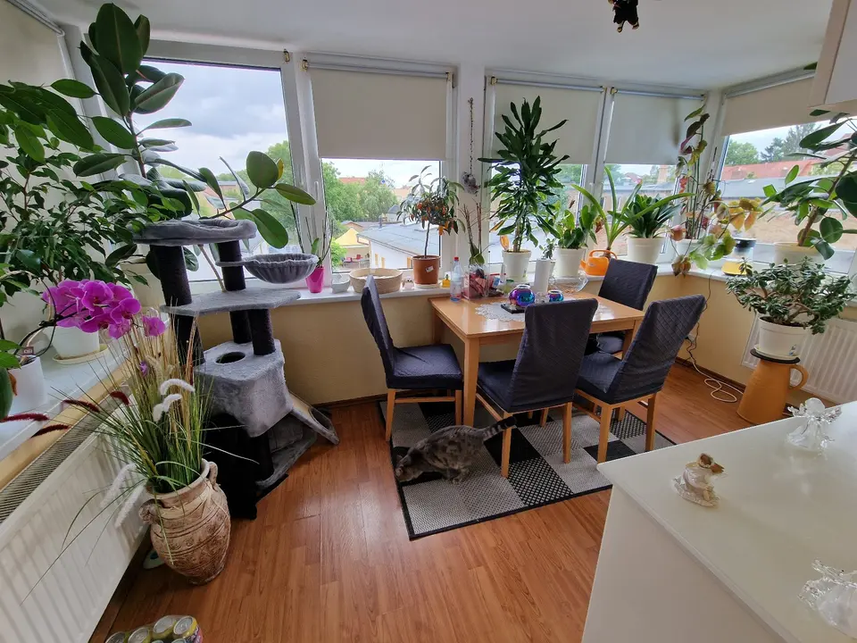 2 Zimmer Wohnung mit 48 m² in Oranienburg – Bild 6