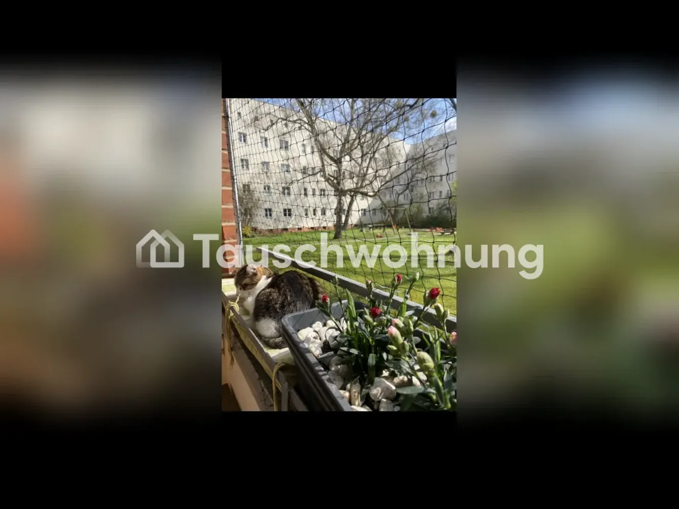 2 Zimmer Wohnung mit 54 m² in Berlin – Bild 1