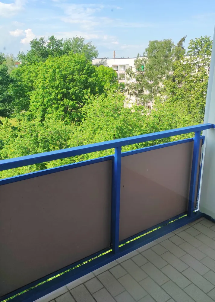 3 Zimmer Wohnung mit 57 m² in Dresden – Bild 9