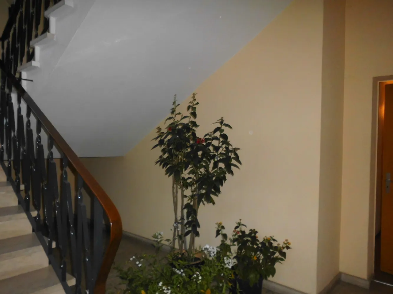 3 Zimmer Wohnung mit 131 m² in Magdeburg – Bild 2