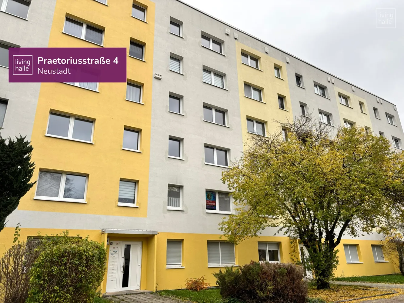 3 Zimmer Wohnung mit 57 m² in Halle (Saale) – Bild 4