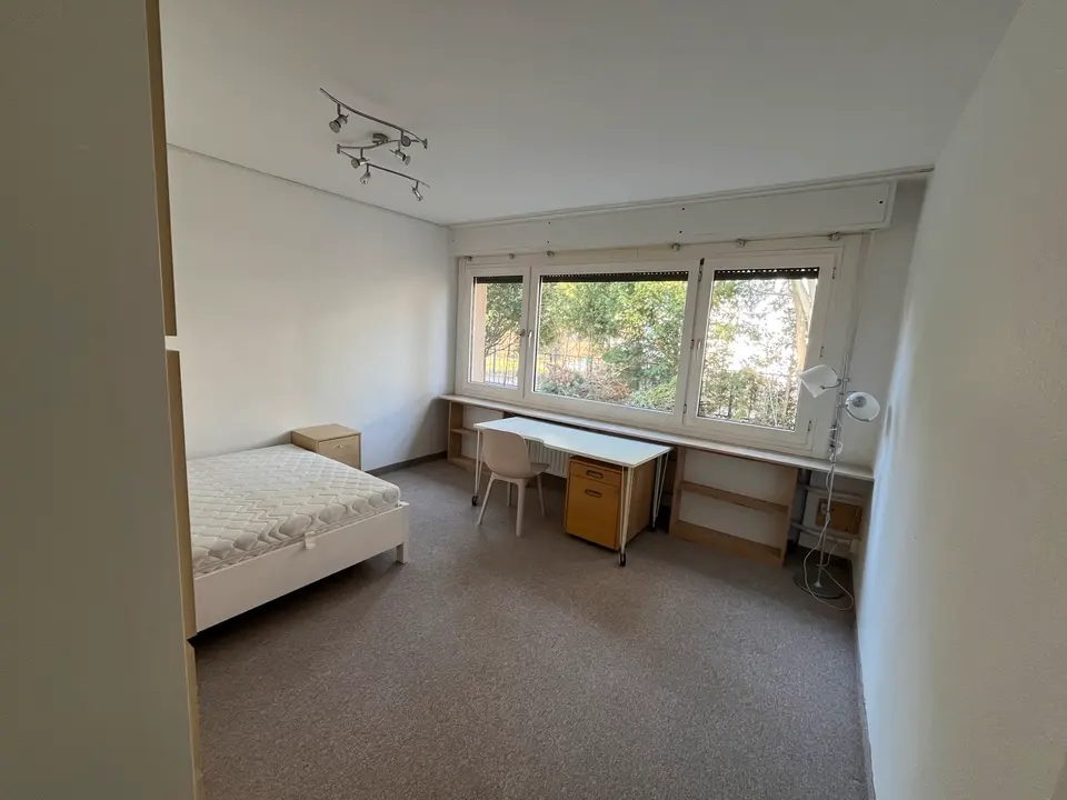 WG-Zimmer mit 22 m² in Potsdam – Bild 6