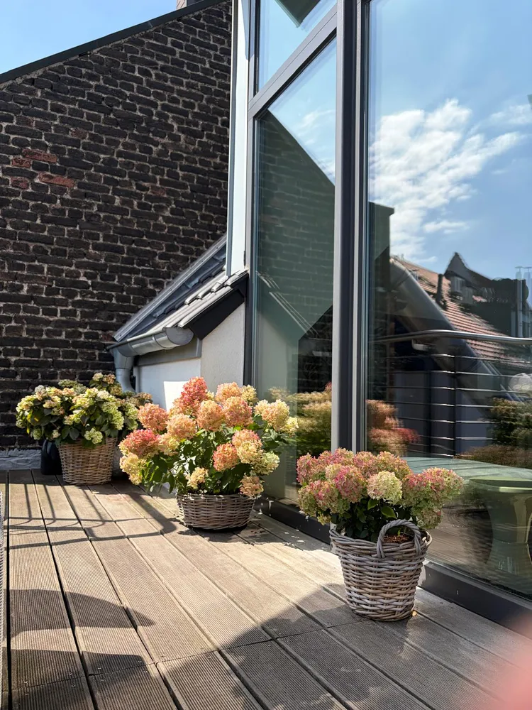 4 Zimmer Wohnung mit 133 m² in Düsseldorf – Bild 7