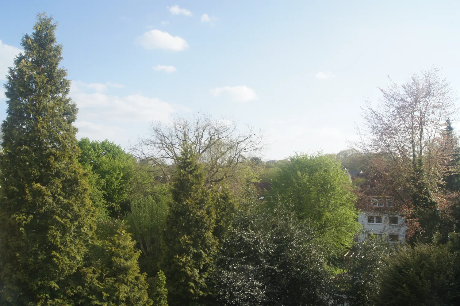 3 Zimmer Wohnung mit 66 m² in Bochum – Bild 1