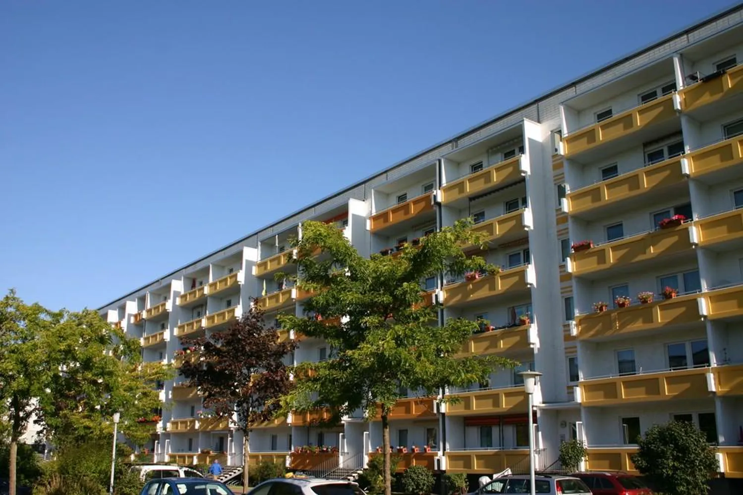 3 room apartment with 69 m² in Magdeburg – Photo 3