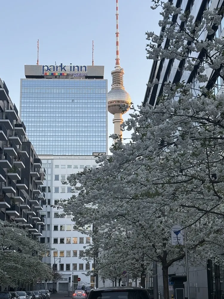 2 Zimmer Wohnung mit 95 m² in Berlin – Bild 3