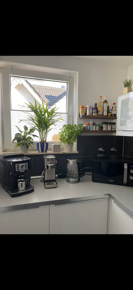 2 Zimmer Wohnung mit 60 m² in Leverkusen – Bild 3