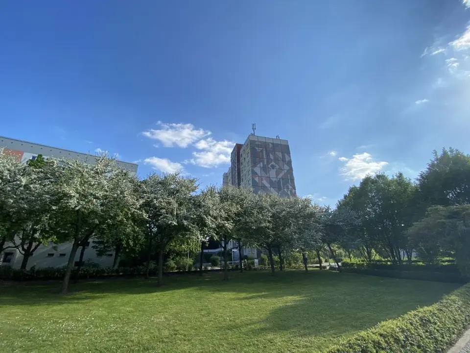 WG-Zimmer mit 20 m² in Berlin – Bild 4