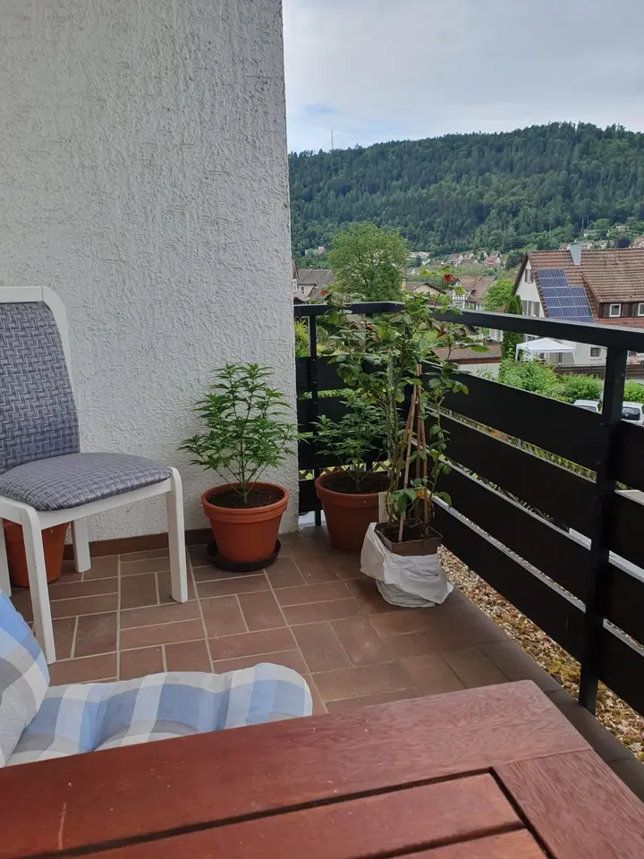 2 Zimmer Wohnung mit 36 m² in Calw – Bild 7