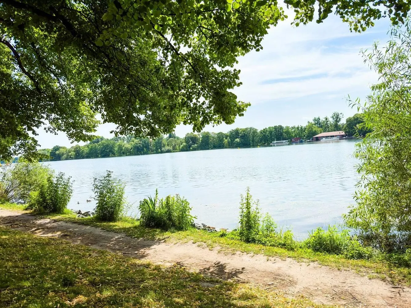 2 Zimmer Wohnung mit 39 m² in Hannover – Bild 2