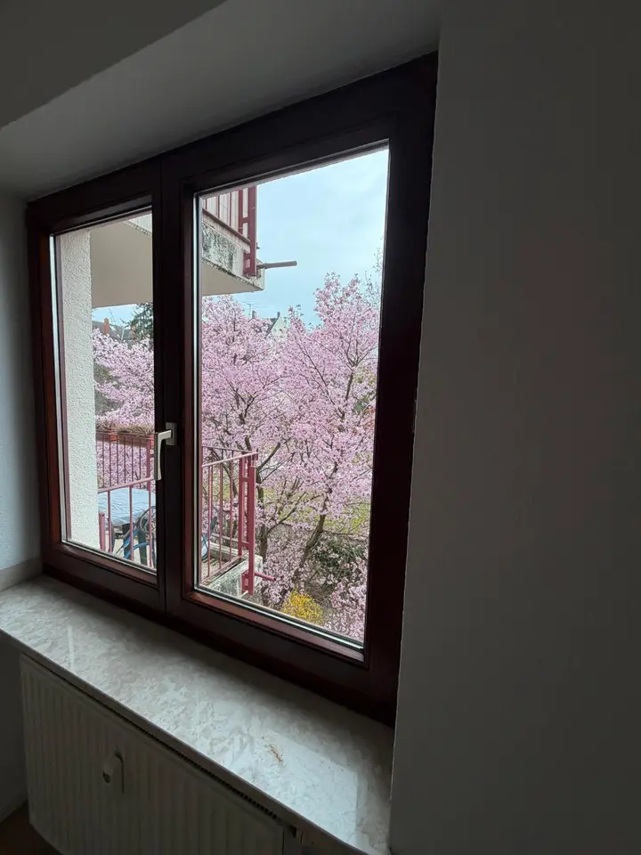 WG-Zimmer mit 9 m² in Grimma – Bild 6