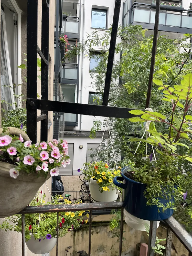 1 Zimmer Wohnung mit 29 m² in Köln – Bild 7