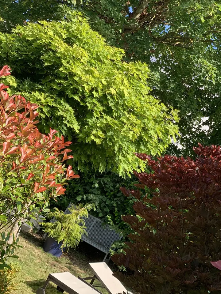 7 Zimmer Haus mit 173 m² in Limburg an der Lahn – Bild 3