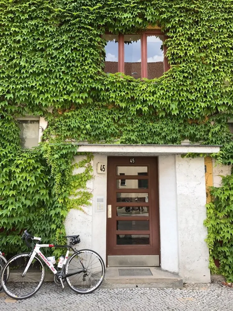 2 room apartment with 58 m² in Berlin – Photo 4