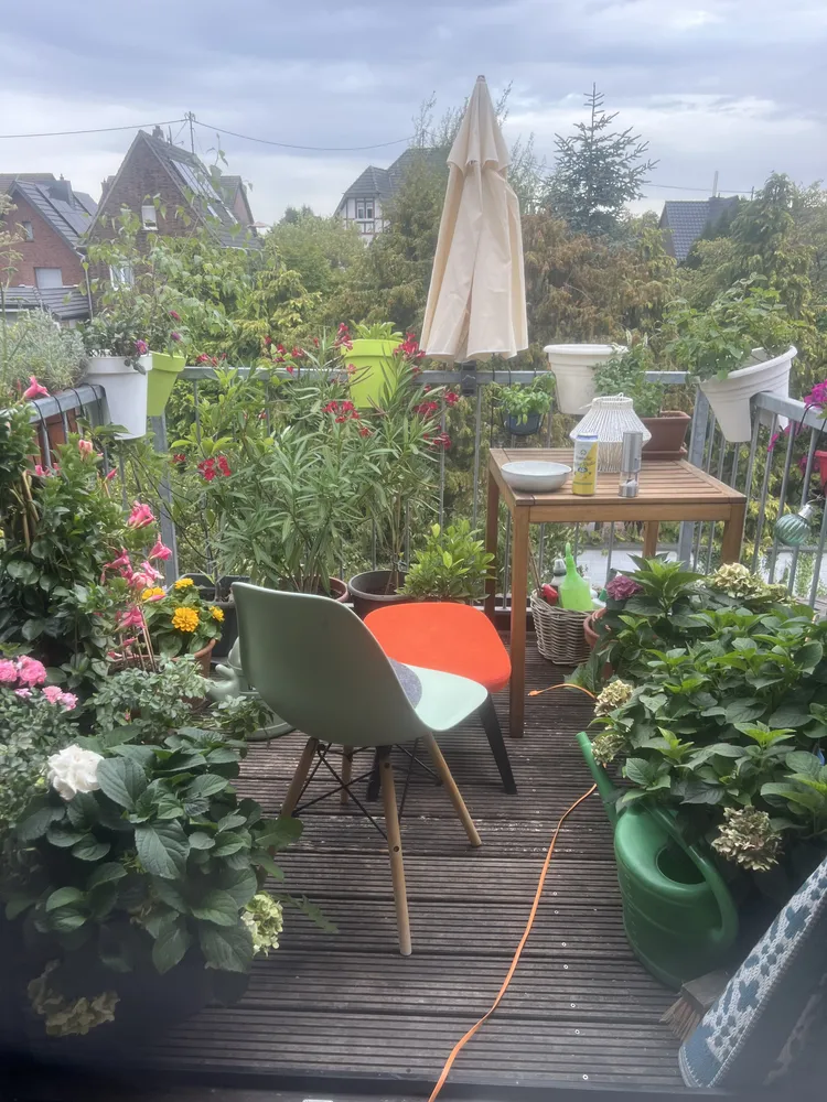 3 Zimmer Wohnung mit 93 m² in Köln – Bild 1