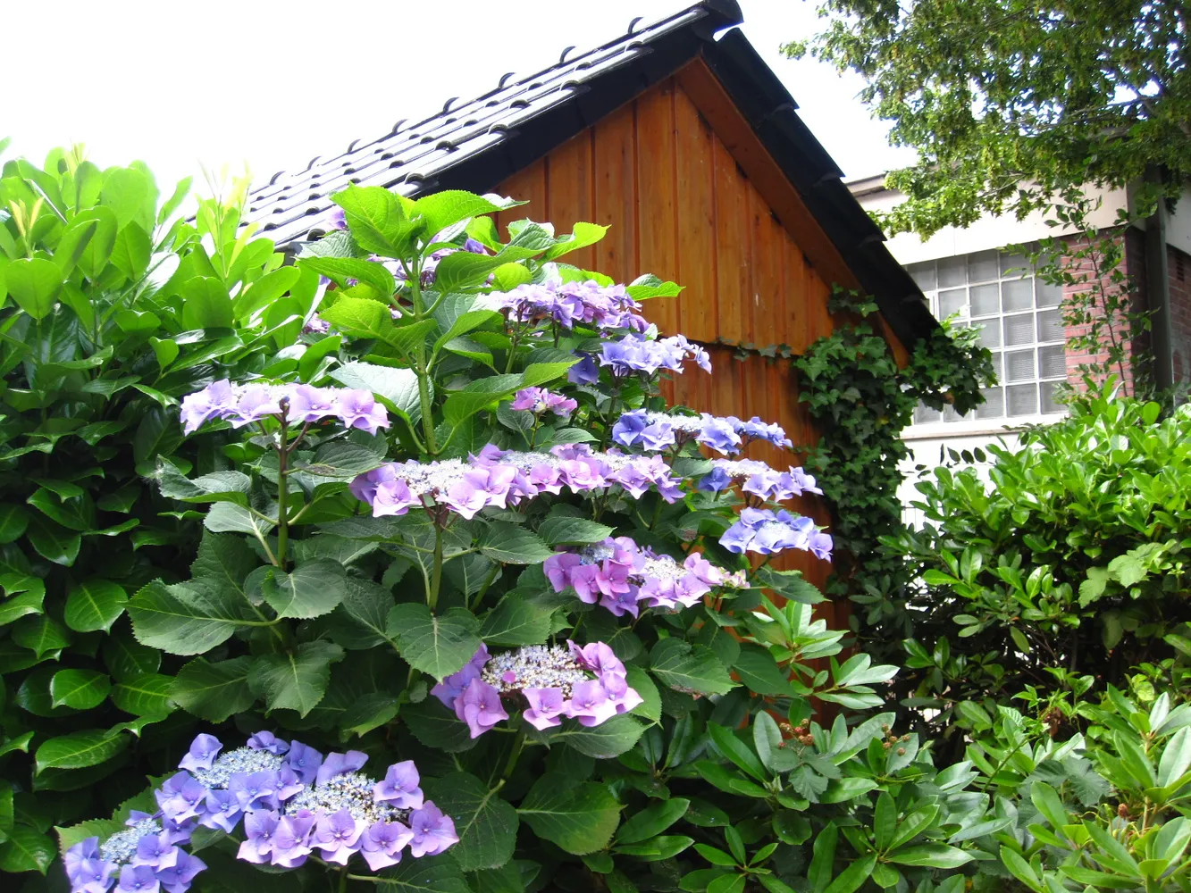 3 Zimmer Wohnung mit 80 m² in Bremen – Bild 4