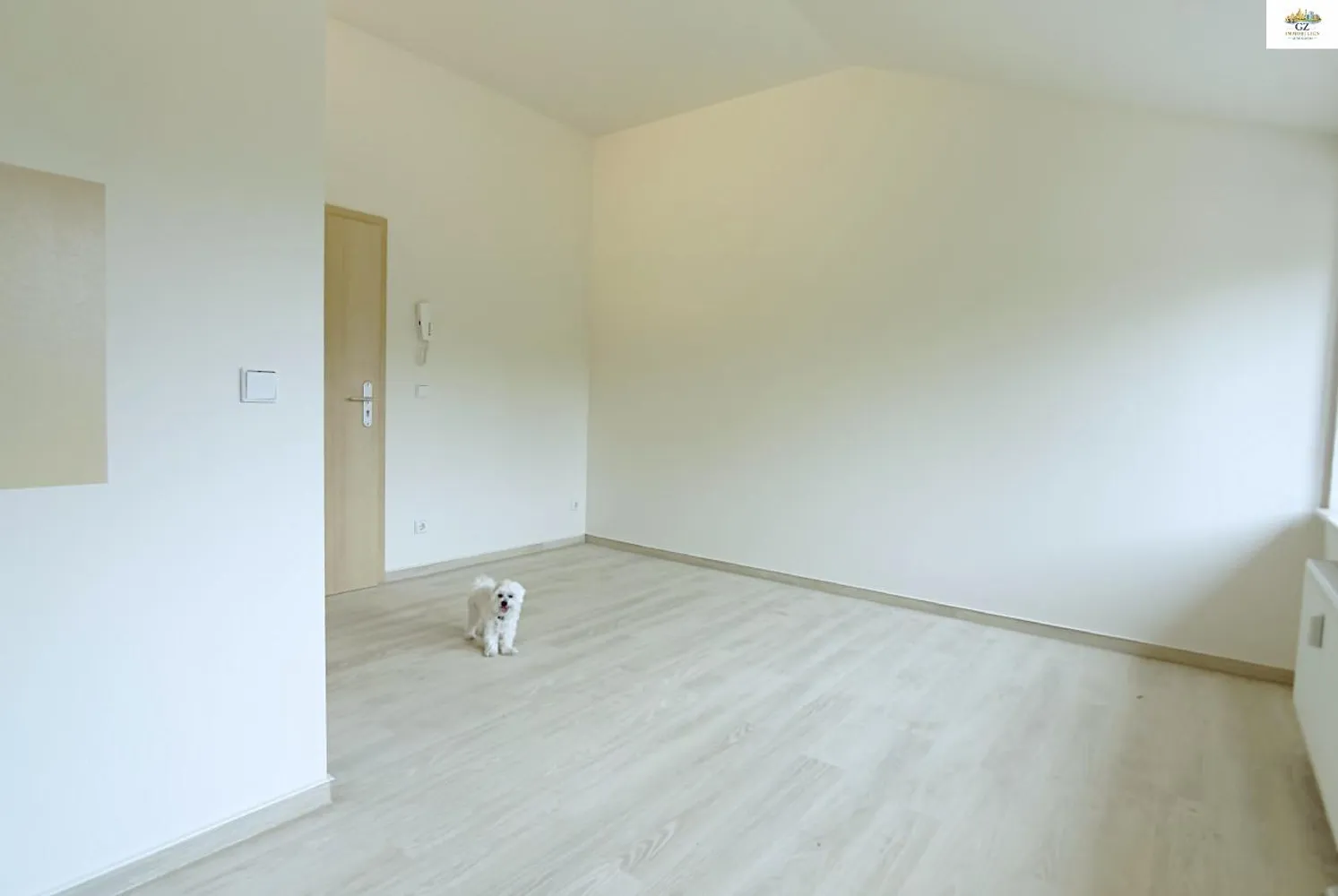 1 Zimmer Wohnung mit 20 m² in Dresden – Bild 3