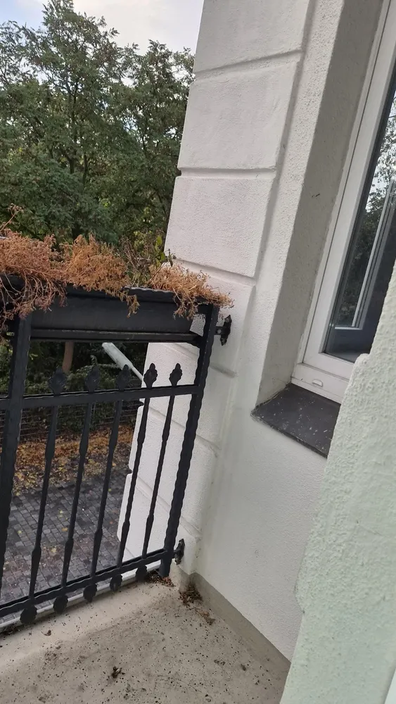 2 room apartment with 60 m² in Berlin – Photo 3