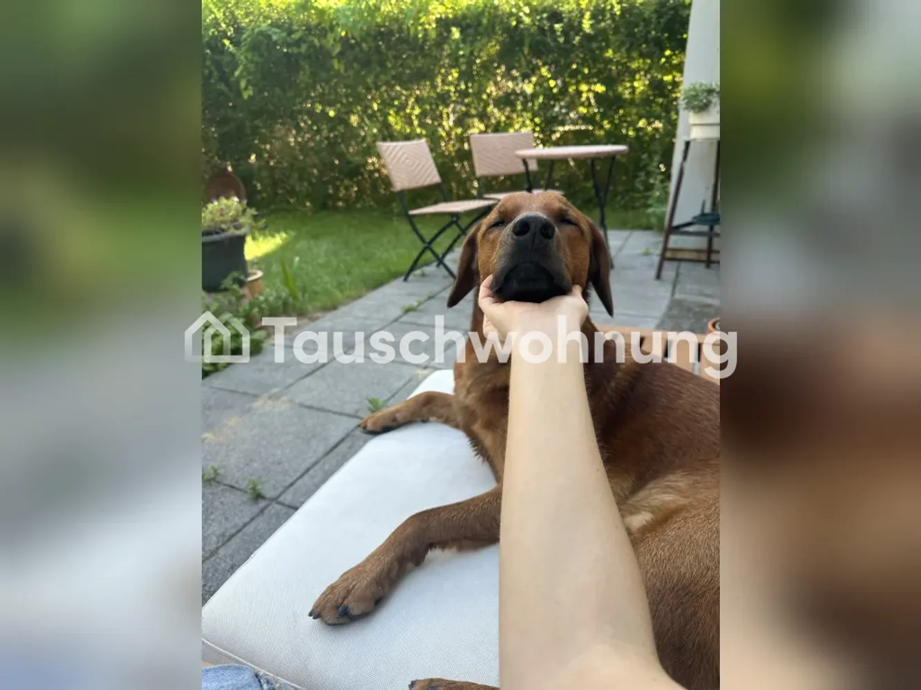 2 Zimmer Wohnung mit 63 m² in Hamburg – Bild 3