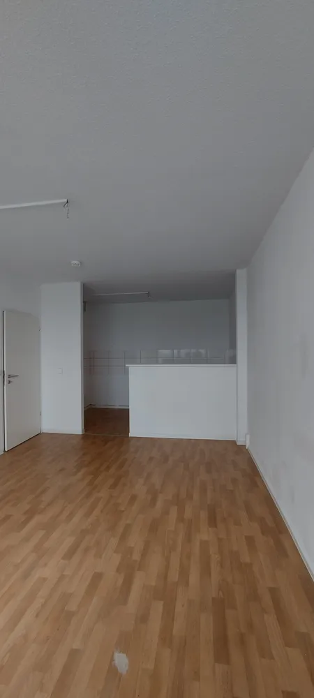 3 Zimmer Wohnung mit 79 m² in Dresden – Bild 5