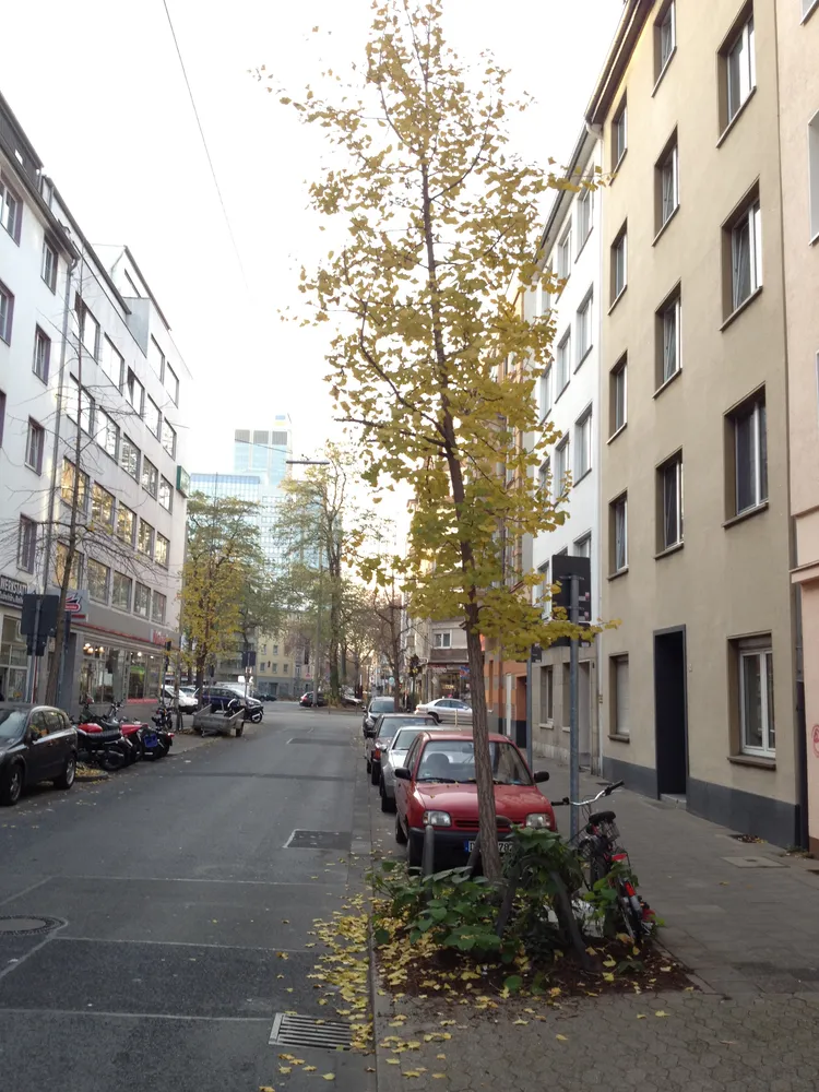 2 room apartment with 50 m² in Düsseldorf – Photo 4