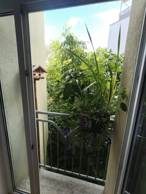 2 Zimmer Wohnung mit 52 m² in Halle (Saale) – Bild 4