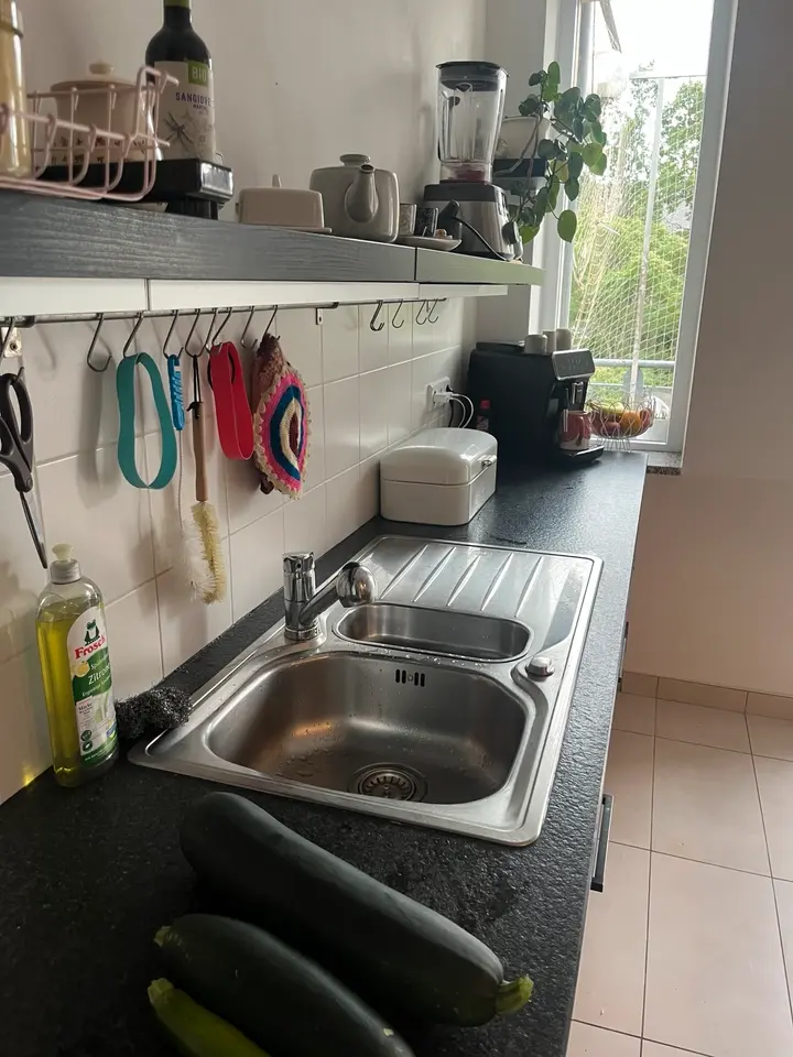 3 Zimmer Wohnung mit 100 m² in Dresden – Bild 4