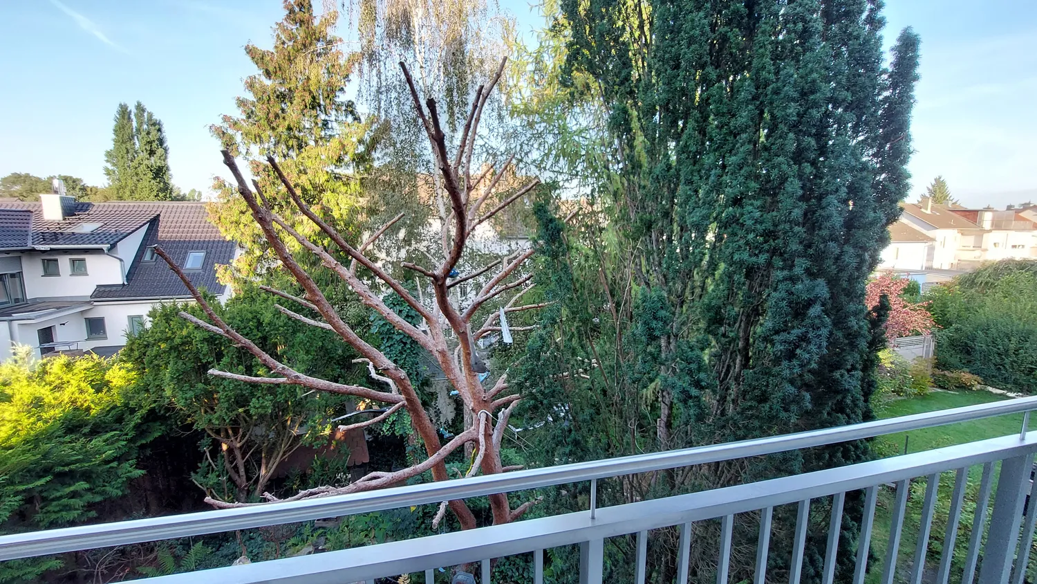 3 room apartment with 95 m² in Frankfurt am Main – Photo 4