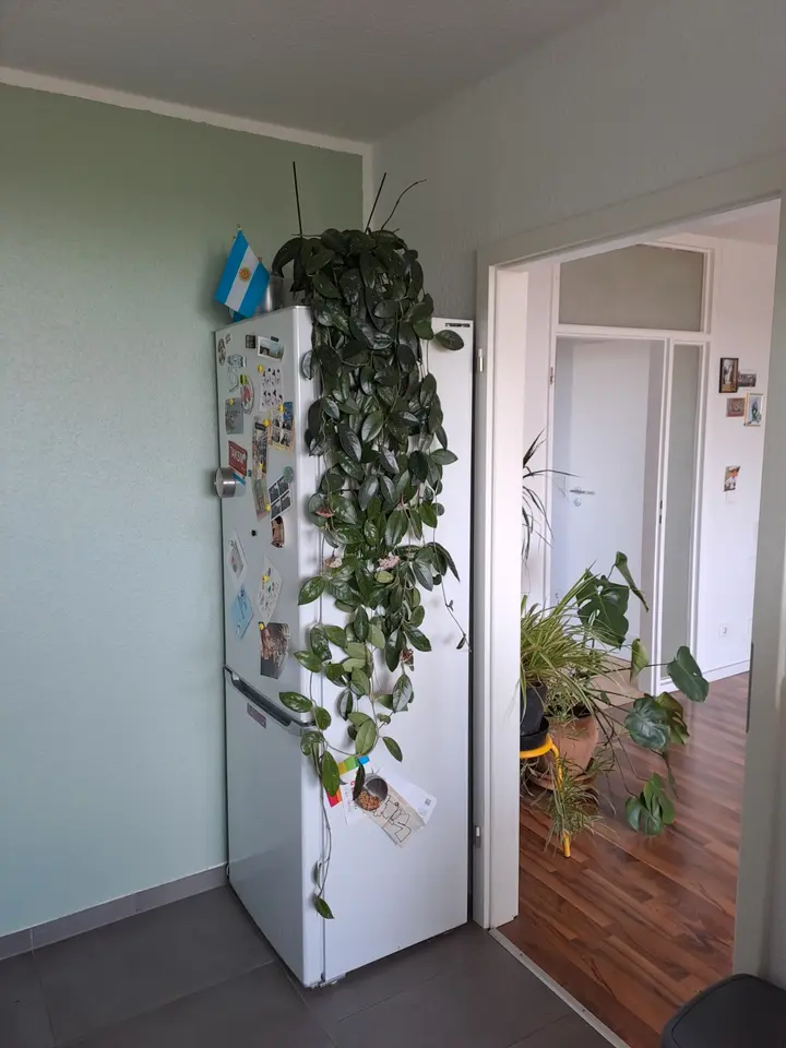 WG-Zimmer mit 63 m² in Bergisch Gladbach – Bild 6