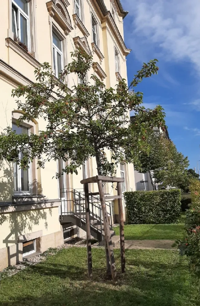 2 Zimmer Wohnung mit 50 m² in Dresden – Bild 1