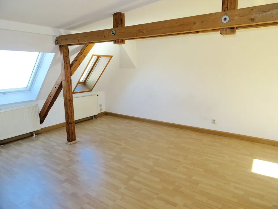2 Zimmer Wohnung mit 60 m² in Zwickau – Bild 1
