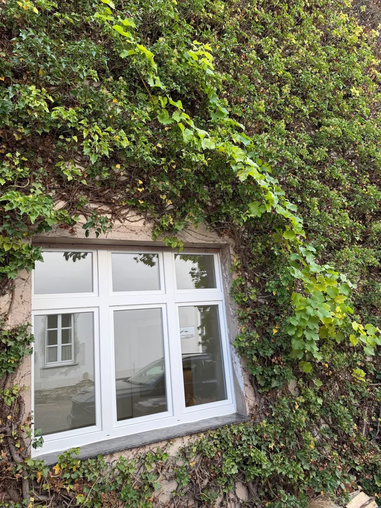 2 Zimmer Wohnung mit 75 m² in Essen – Bild 1