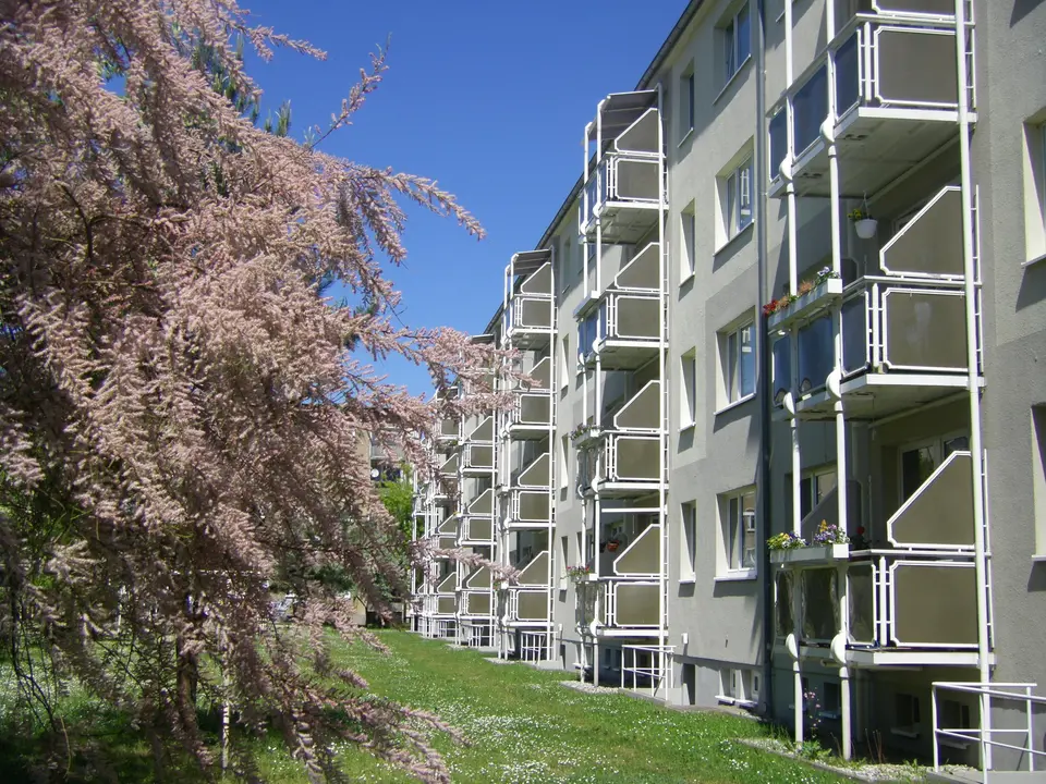 3 Zimmer Wohnung mit 60 m² in Wurzen – Bild 3
