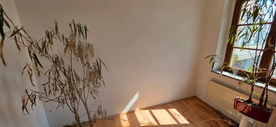3 Zimmer Wohnung mit 76 m² in Kamenz – Bild 7