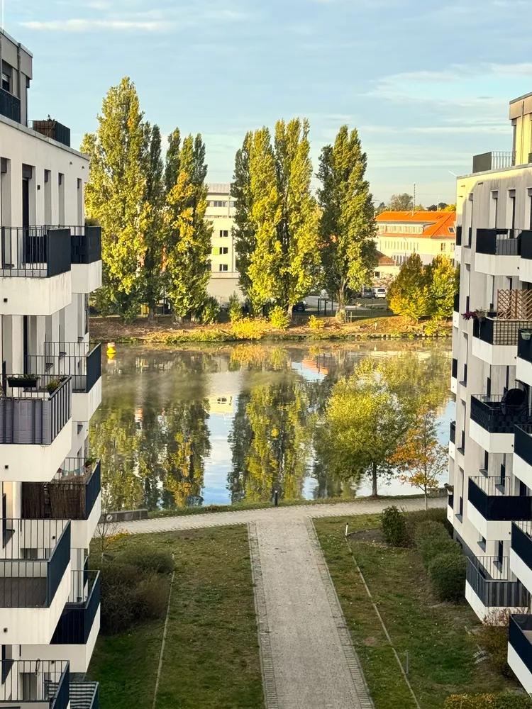 2 room apartment with 50 m² in Berlin – Photo 1