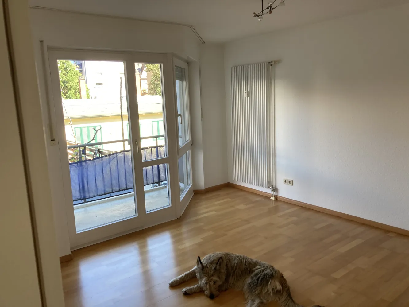 1 Zimmer Wohnung mit 18 m² in Freiburg im Breisgau – Bild 2