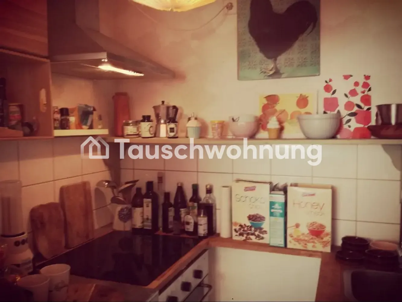 3 Zimmer Wohnung mit 54 m² in Köln – Bild 10