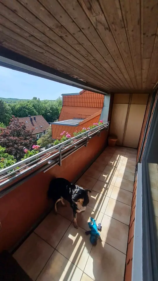 2 Zimmer Wohnung mit 60 m² in Bramsche – Bild 3