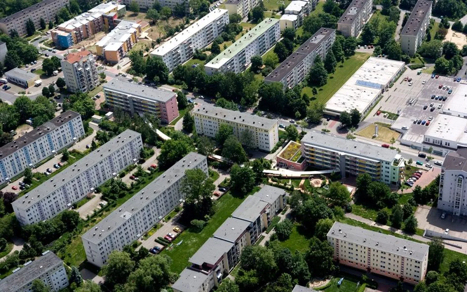 3 Zimmer Wohnung mit 61 m² in Zwickau – Bild 2